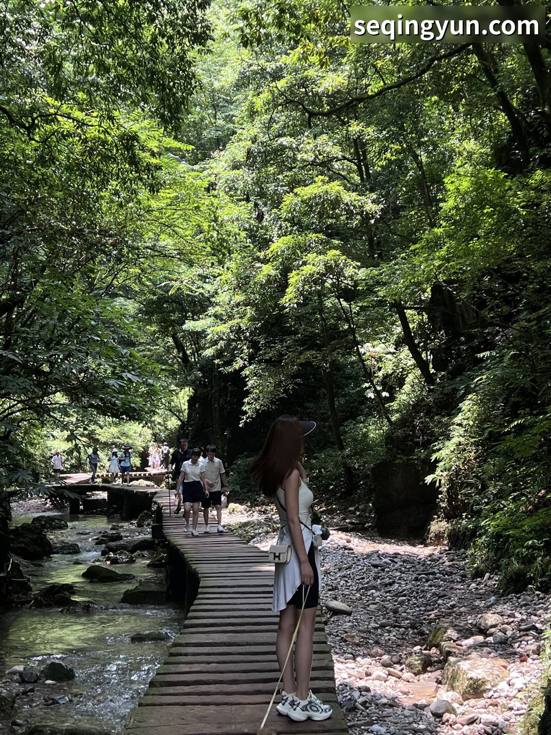 PICTURE_12.jpg