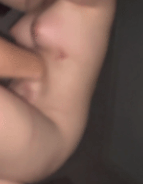 PICTURE_12.gif