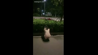 VIDEO_4.mp4
