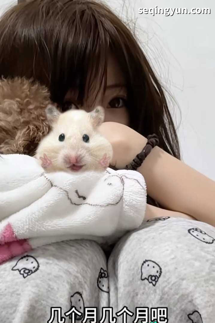 PICTURE_2.jpg