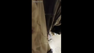 VIDEO_2.mp4