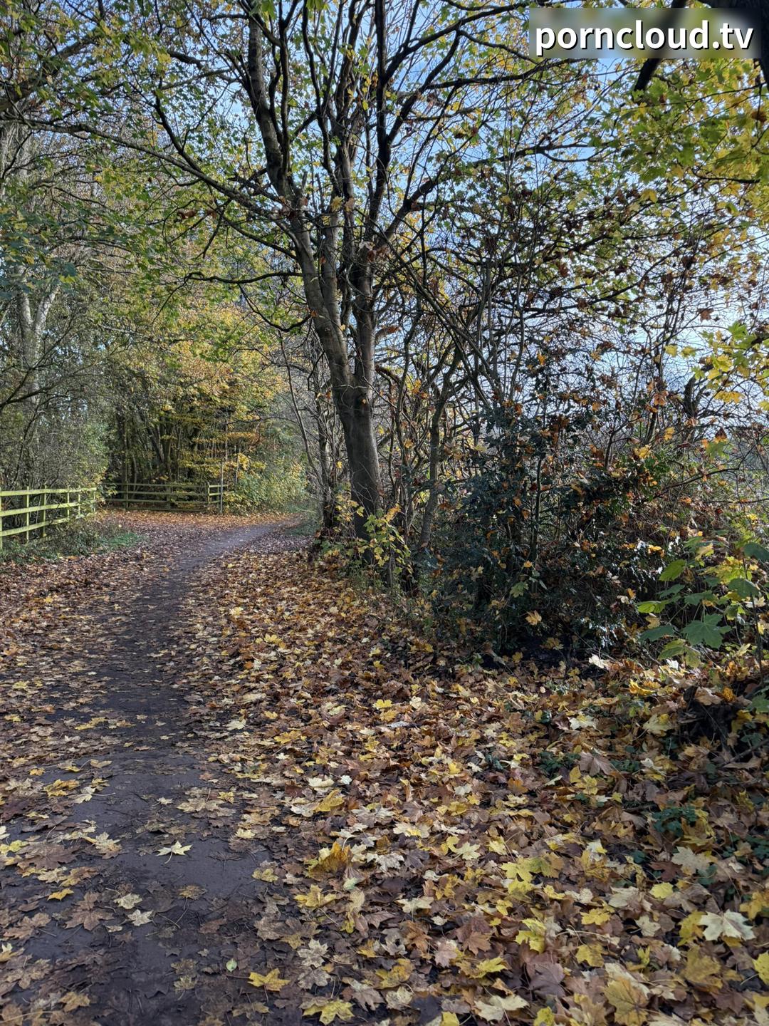 PICTURE_12.jpg