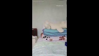 VIDEO_27.mp4