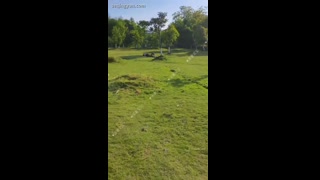 VIDEO_56.mp4