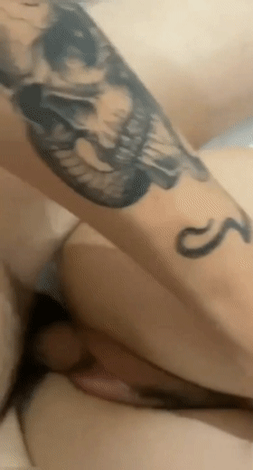 PICTURE_3.gif