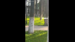 VIDEO_3.MOV