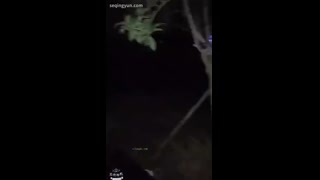 VIDEO_15.mp4