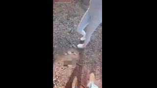 VIDEO_1.mp4