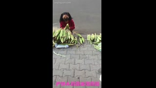 VIDEO_56.mp4
