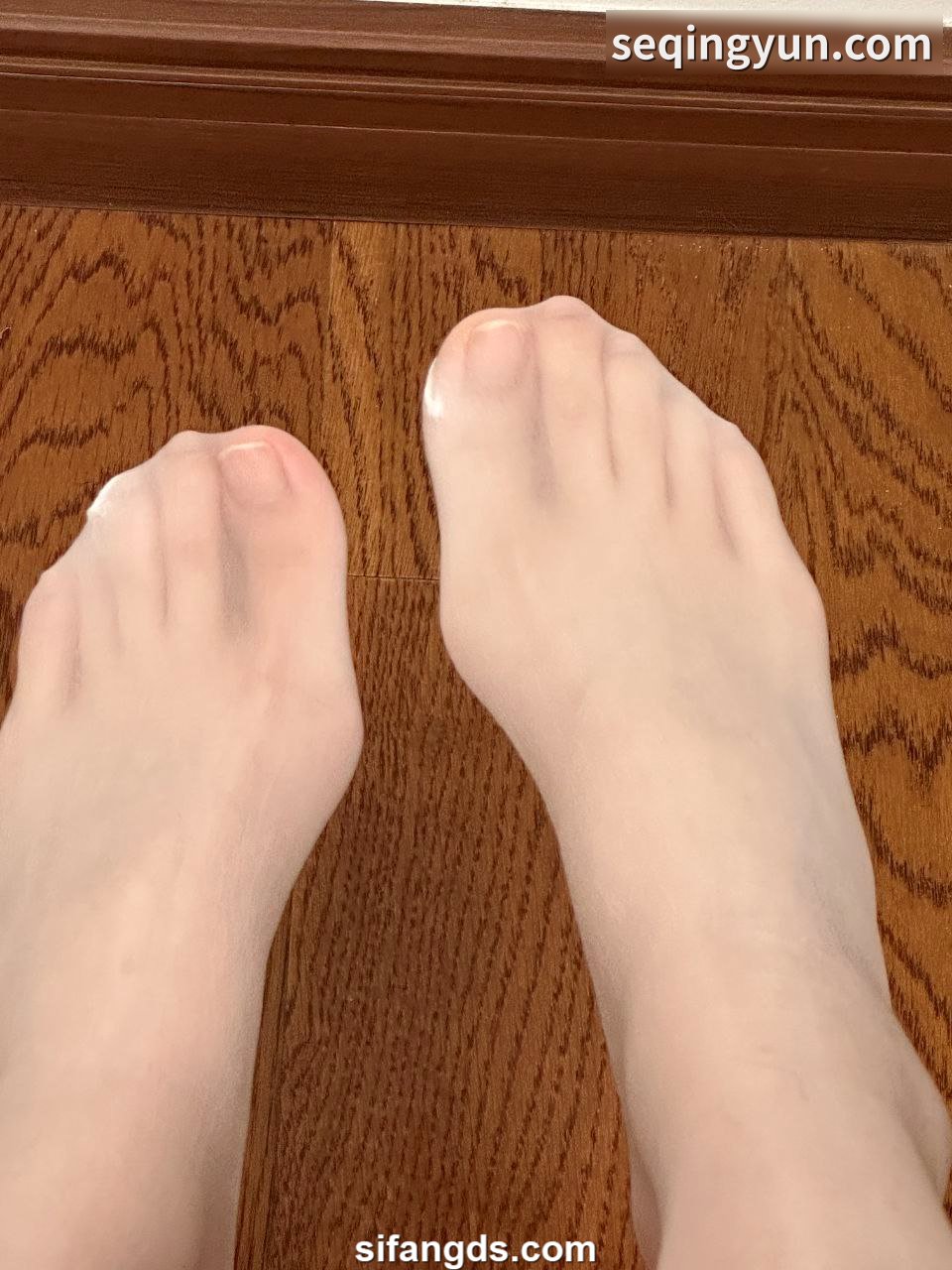 PICTURE_1.png