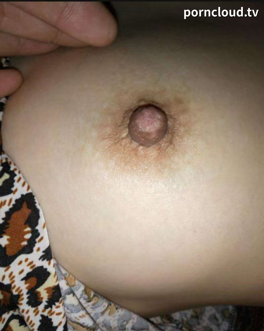 PICTURE_11.JPG