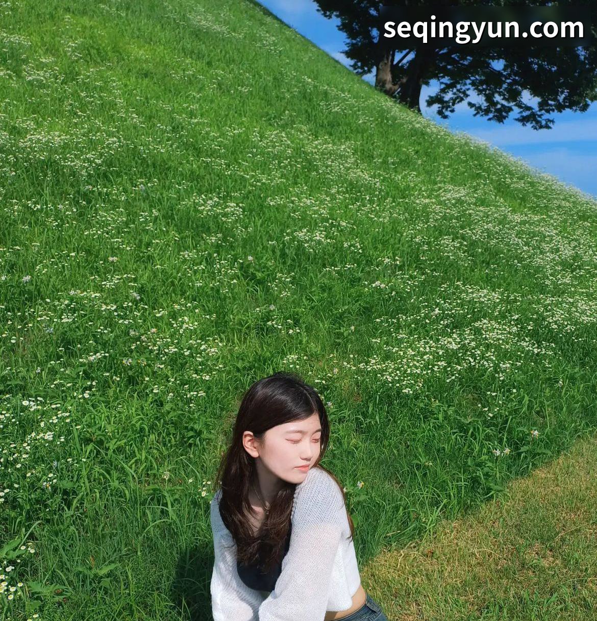 PICTURE_9.jpg