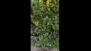 VIDEO_28.mp4