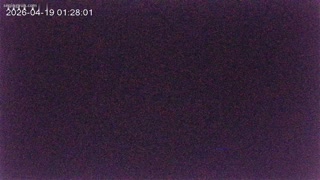 VIDEO_3.mp4