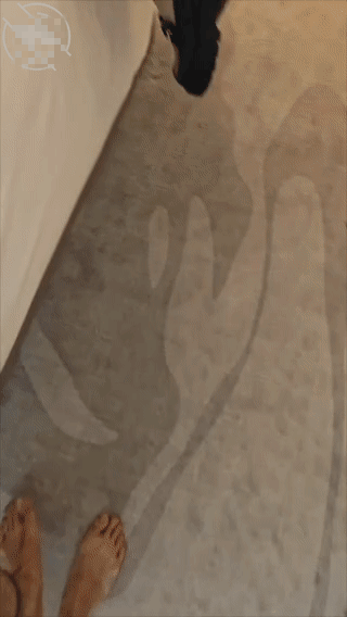 PICTURE_10.gif