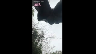 VIDEO_6.mov