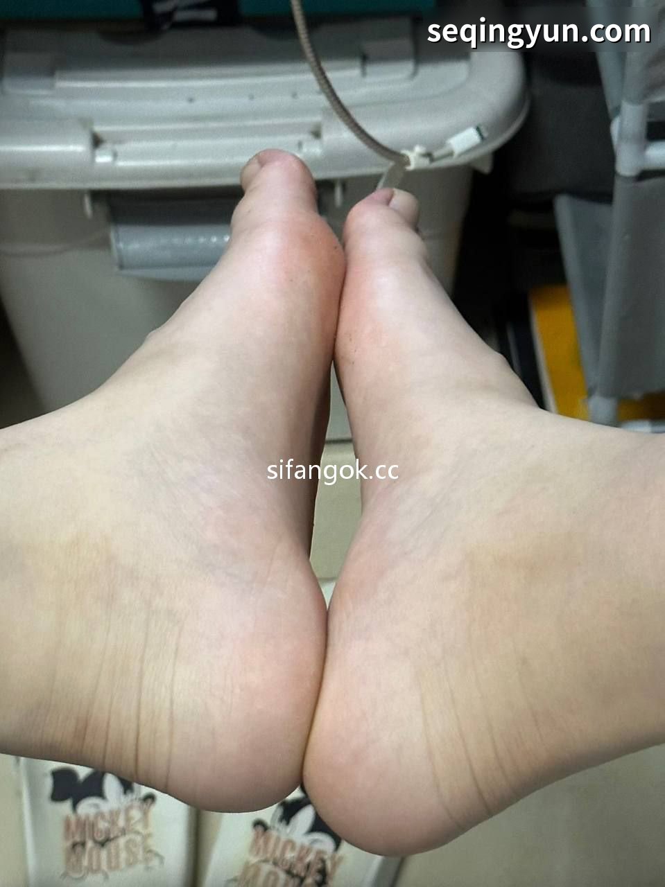 PICTURE_6.jpg