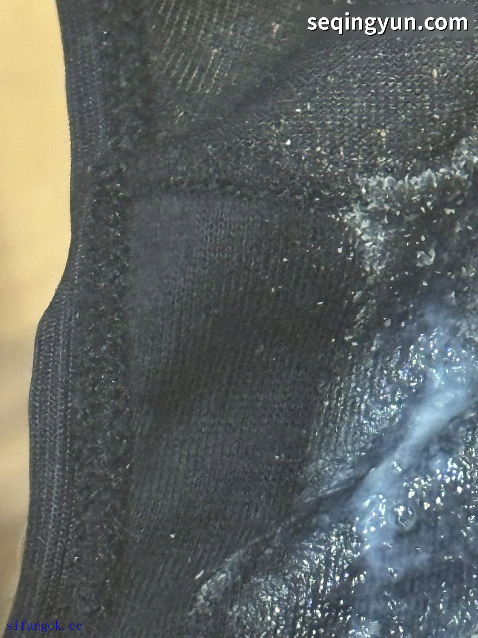 PICTURE_5.jpg
